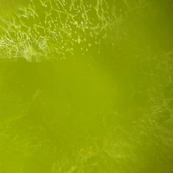 Color – Green