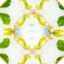 Pattern – Dogwood