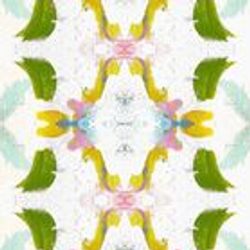 Pattern – Dogwood