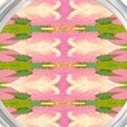 Pattern – Cabana Pink