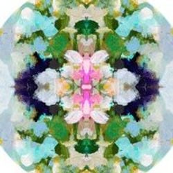 Pattern – Nantucket Bloom