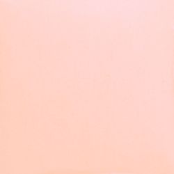 Pink with Orange Trim