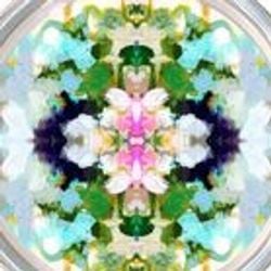 Pattern – Nantucket Bloom