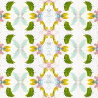 Pattern – Dogwood