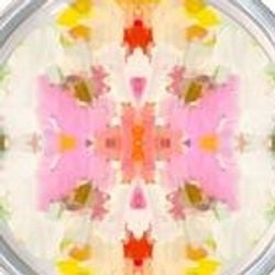 Pattern – Giverny