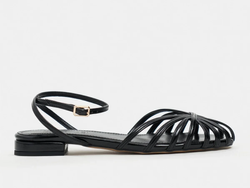 COLOR – Black