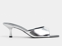 COLOR – Silver