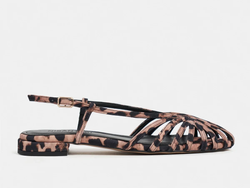 COLOR – Leopard