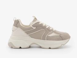 COLOR – MERITA Beige