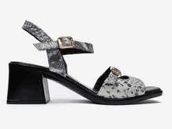 COLOR – Black