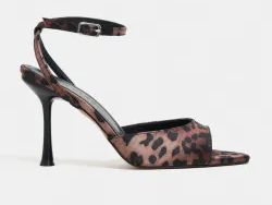 COLOR – Leopard