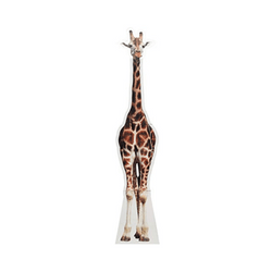 Jungle Stand Ups – Giraffe
