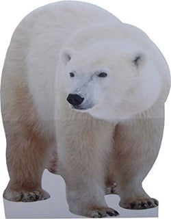 Jungle Stand Ups – Polar Bear