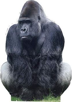 Jungle Stand Ups – Gorilla