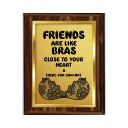 Friends Are Like Bras