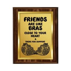 Friendship Plaques – Friends Are Like Bras