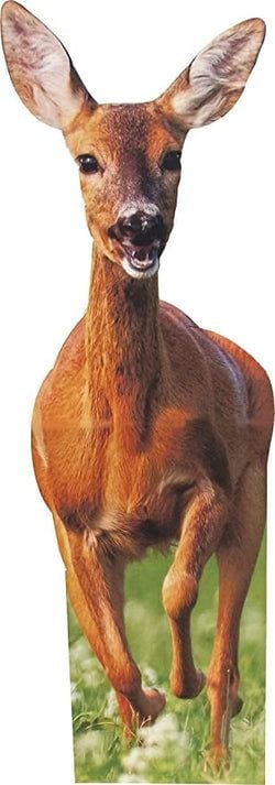 Jungle Stand Ups – Deer