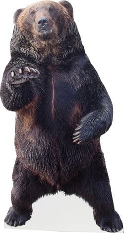 Jungle Stand Ups – Bear
