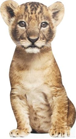 Jungle Stand Ups – Lion Cub