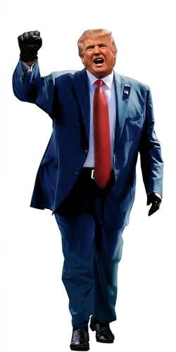 Trump Gloves