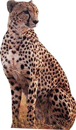 Jungle Stand Ups – Cheetah