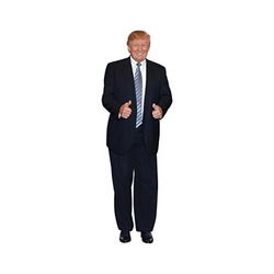 Trump Blue Tie