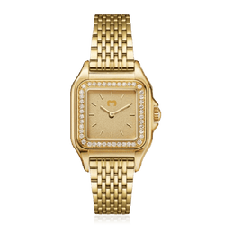 Modelo – GoldPassion