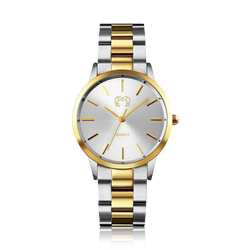 Modelo – GoldSilver