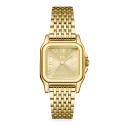 Modelo – GoldPassion