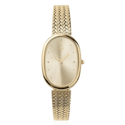 Modelo – Gold