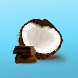 Sorte – Creamy Coconut