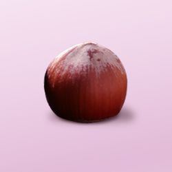 Sorte – Hazelnut Choco