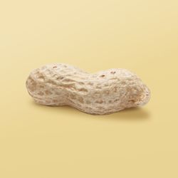 Sorte – Salted Peanut Butter