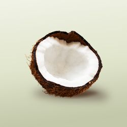 Sorte – Matcha Coconut