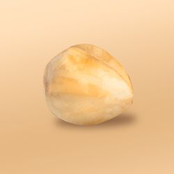 Sorte – White Hazelnut