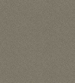 Color – Metallic Silver on Charcoal
