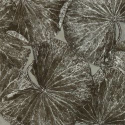 Color – Fossil