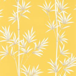 Color – Honey/Porcelain
