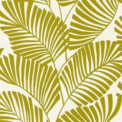 Color – Citrus