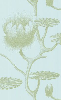 Color – Olive Green on Seafoam