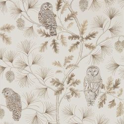 Color – Linen