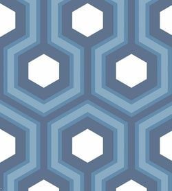 Color – Blue & White on Navy