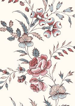 Anemone