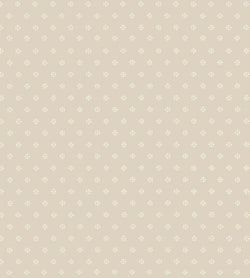 Color – Safari