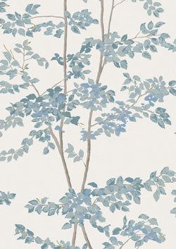 Color – Bluegrass