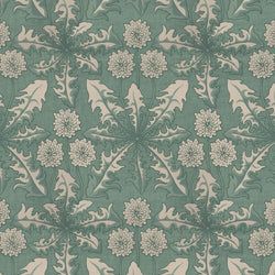 Color – Euphorbia