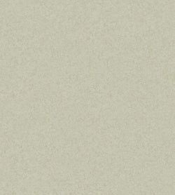 Color – Old Olive