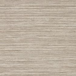 Color – Fawn