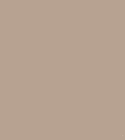 Color – Dark Linen