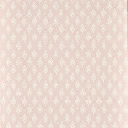 Color – Blush